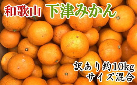 【訳あり】和歌山下津みかん約10kgご家庭用向け(サイズ混合) ★2025年11月中旬から2026年1月下旬頃順次発送［TM78］【TM92042-tec885】