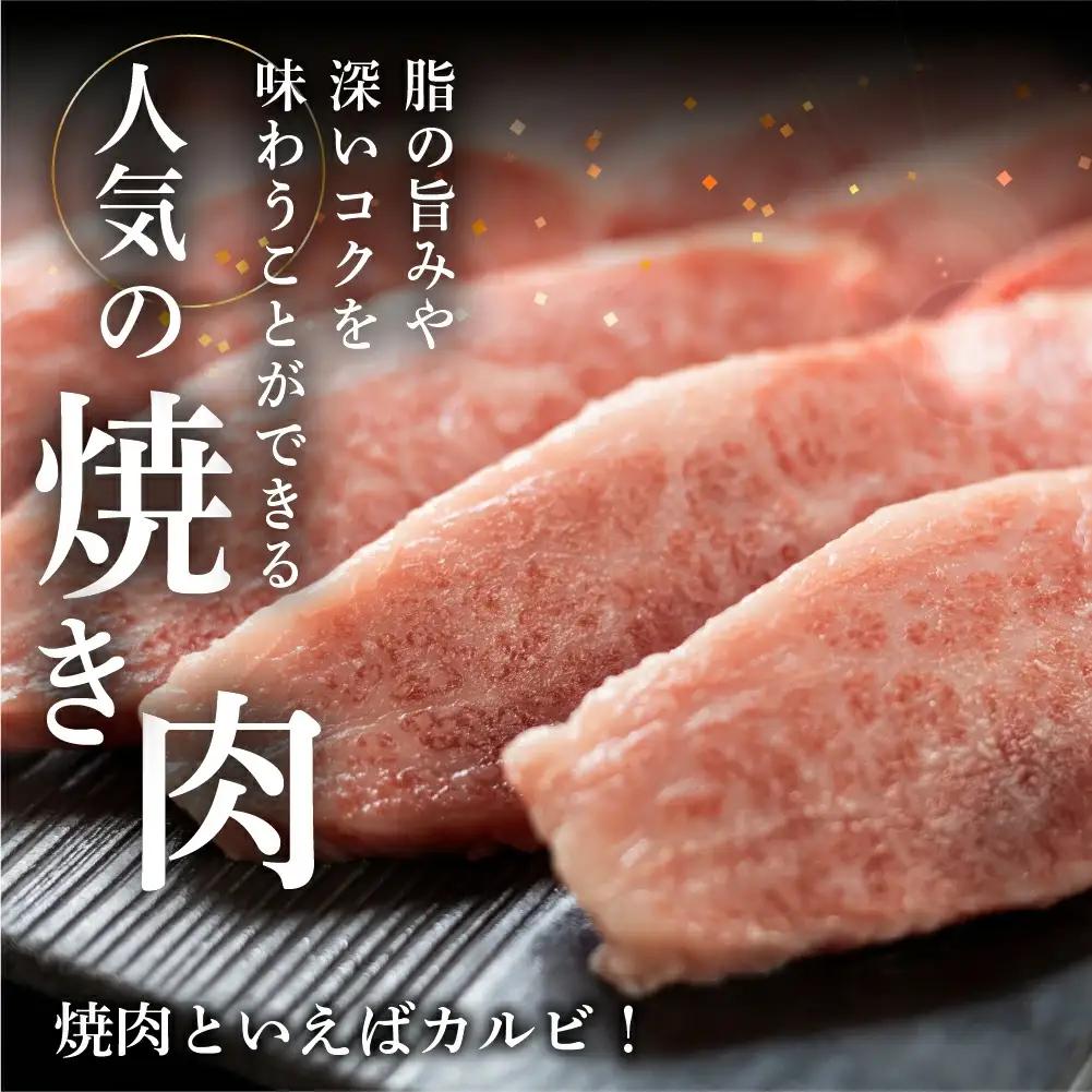【定期便 3回】飛騨牛焼肉三昧！3ヶ月 連続定期便（2～3人前）【70-G】