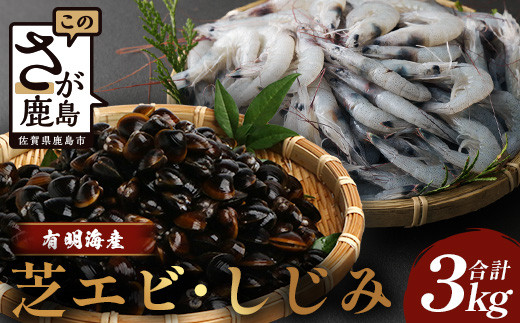B-392 【緊急支援品】冷凍 芝エビ (1.5kg) シジミ (1.5kg) セット 合計3kg 真エビ  急速冷凍 活き締め 芝海老 えび 海老 しじみ 砂抜き済 魚貝類 海鮮 貝 佐賀県 鹿島市 国産 詰め合わせ 送料無料