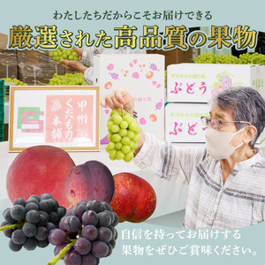 厳選！産地直送ぶどう「巨峰」（種なし）1.2kg（2～3房）（KKH）【2024年発送】B-492