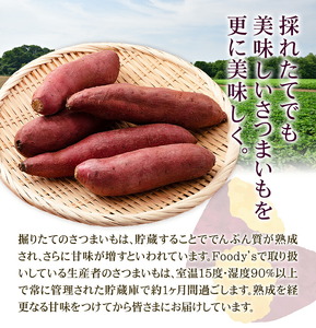 秀品 紅はるか 約10kg S～2L混合 株式会社Foody’s 《90日以内に発送予定（土日祝を除く）》熊本県 菊池市 さつまいも 芋 紅蜜芋 焼き芋 野菜 菊池市産 熊本県産 九州産