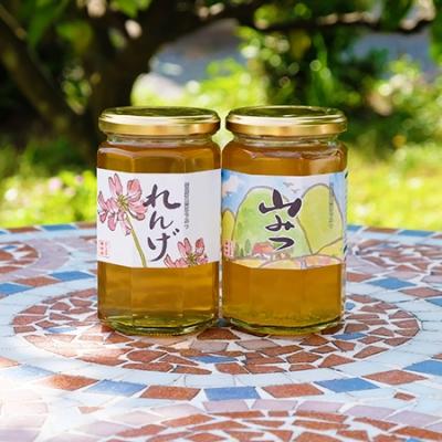 ふるさと納税 小郡市 はちみつ 国産 天然 純はちみつ 370g×2本セット やまみつ&amp;れんげ[No5354-0302]