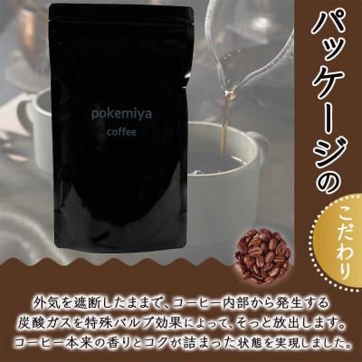 ふるさと納税 都城市 焙煎職人こだわりのコーヒー【豆】500g ※中深煎り※ |  | 02