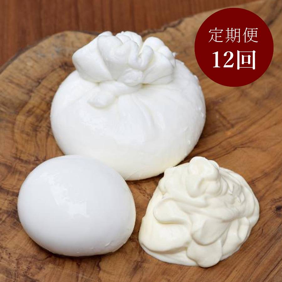 ＜Latteria BeBe Kamakura＞ジャパンチーズアワード受賞チーズセット定期便 12カ月コース