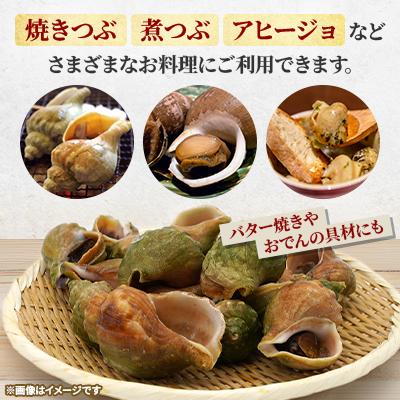 ふるさと納税 稚内市 北海道稚内宗谷産 青つぶ 1kg <簡単手間いらず> ボイル・あぶら除去済み |  | 02