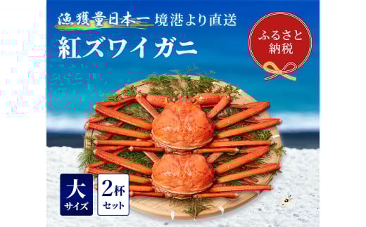 【蟹セレブ】ズワイガニ（紅ズワイガニ）大2杯セット（500から600g×2） 冷蔵 カニ ボイル 紅ズワイガニ 新鮮 ズワイガニ ずわいがに 期間限定 国産 鳥取県 倉吉市
