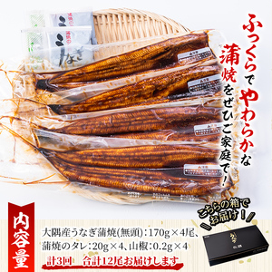 【定期便３回】大隅特産うなぎ蒲焼４尾（680g）【国産】 2485