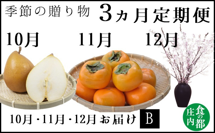 
            食の都庄内　《10・11・12月お届け-B》季節の贈り物-3ヶ月定期便
          