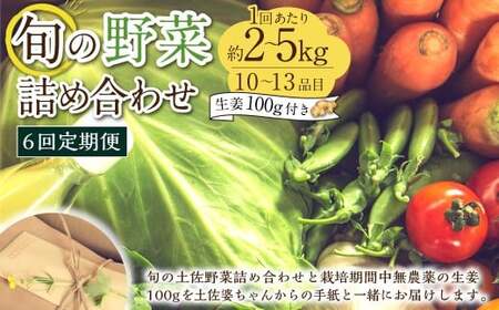 【定期便6回】旬の野菜の詰め合わせと栽培期間中農薬不使用の生姜100g付き 詰め合わせ 野菜セット 野菜 ギフト やさいセット お取り寄せグルメ 家庭用 旬野菜 新鮮 特産 農薬不要 食材