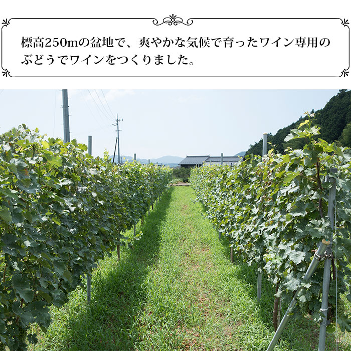 光ワイン（「ロゼ」2本セット） 「ロゼ」2本セット（寄附額26,000円）