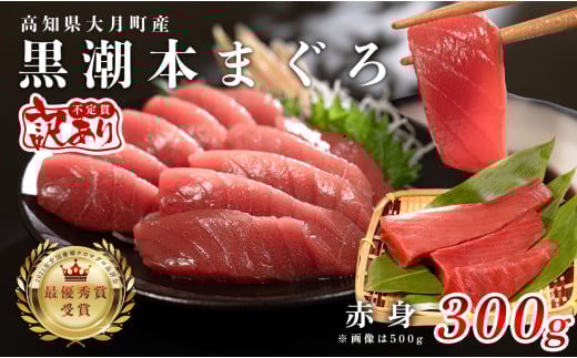 【訳アリ】養殖本マグロ 赤身 300g 黒潮本まぐろ【レビューキャンペーン実施中】｜不定貫 不揃い 刺身用 家庭用 最優秀賞受賞 日本一 配達日指定可 指定日配送可 本まぐろ まぐろ 鮪 小分け 個包装 丼 寿司 柵 急速冷凍 解凍簡単 産地直送 高知県 大月町