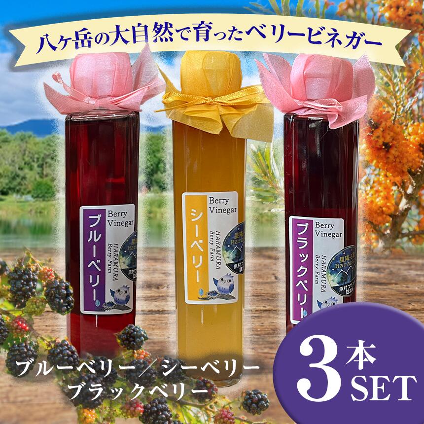 【ふるさと納税】 八ヶ岳の大自然で育った ベリービネガー 3本セット ( ブラックベリー , シーベリー , ブルーベリー )| りんご酢 ビネガー ベリー 安心 体に優しい さわやか 信州 八ヶ岳 長野県 諏訪郡 原村