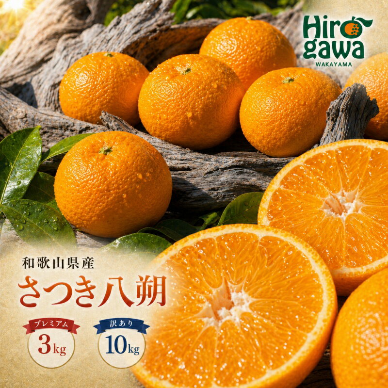【ふるさと納税】 さつき 八朔 プレミアム 訳あり 3kg 10kg ※2027年3月上旬～2027年3月下旬に順次発送 // さつき 八朔 柑橘 和歌山 有田 家庭用 訳あり わけあり 傷あり 紀州 国産 // hassaku