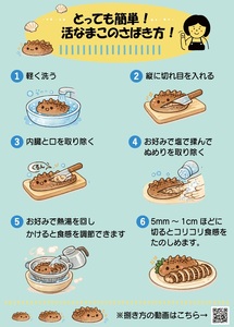 【先行受付開始！】北海道浦河産『活なまこ』1kg※不在日・日付指定対応不可※[06-1591]
