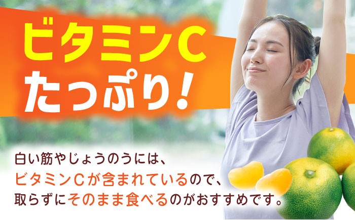 果物 早味かん フルーツ みかん ミカン 蜜柑