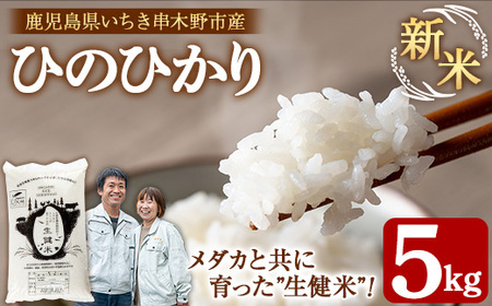 【数量限定 令和7年産 新米】メダカと共に育ったお米5kg！（5kg×1）九州 鹿児島県産 農家直送 の 新米 米 白米 5kg袋×1 ひのひかり  備蓄 や 贈答 にも！ 【A-1968H】