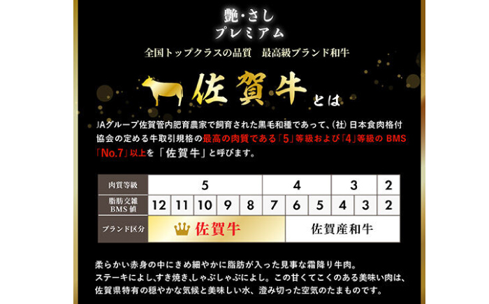 佐賀牛サーロインステーキ 計600g（約200g×3枚）/ 佐賀県 / 佐嘉ZEYTAKUYA（株式会社丸宗ミート） [41AQAA021]