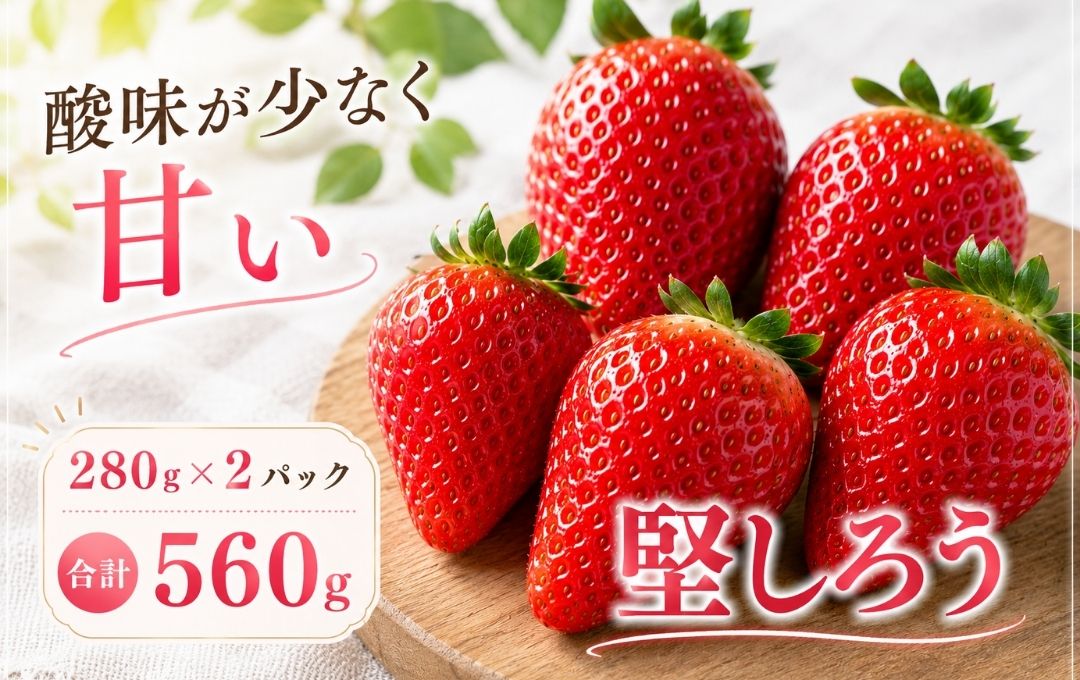 【先行予約＿2027年出荷分】　完熟いちご280g 堅しろう 2パック（DXパック）【 堅しろう いちご 苺 イチゴ 果物 フルーツ くだもの 旬 伊豆 静岡県 期間限定】　