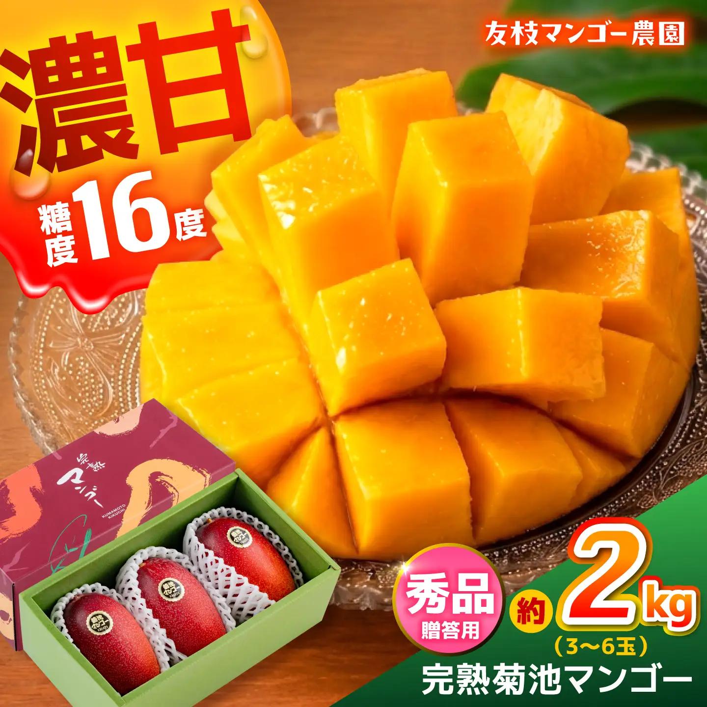 【2027年6月上旬から順次発送】秀品 菊池マンゴー約2kg 友枝マンゴー農園[AYDF004]
