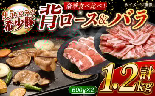 【食べ比べ♪】大西海SPF豚 背ロース＆バラ（焼肉用）計約1.2kg（各600g）長崎県/長崎県農協直販 [42ZZAA104]