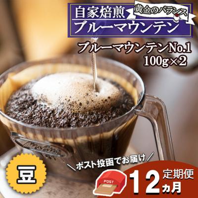 ふるさと納税 小郡市 コーヒー 定期便12ヶ月 ブルーマウンテン ストレート 100g×2 豆[No5354-0428]