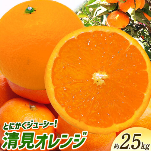 ＜先行予約＞とにかくジューシー 清見 オレンジ 約2.5kg 株式会社魚鶴商店《2027年3月下旬-4月下旬頃出荷》和歌山県 日高町 柑橘 果物 フルーツ 清見オレンジ
