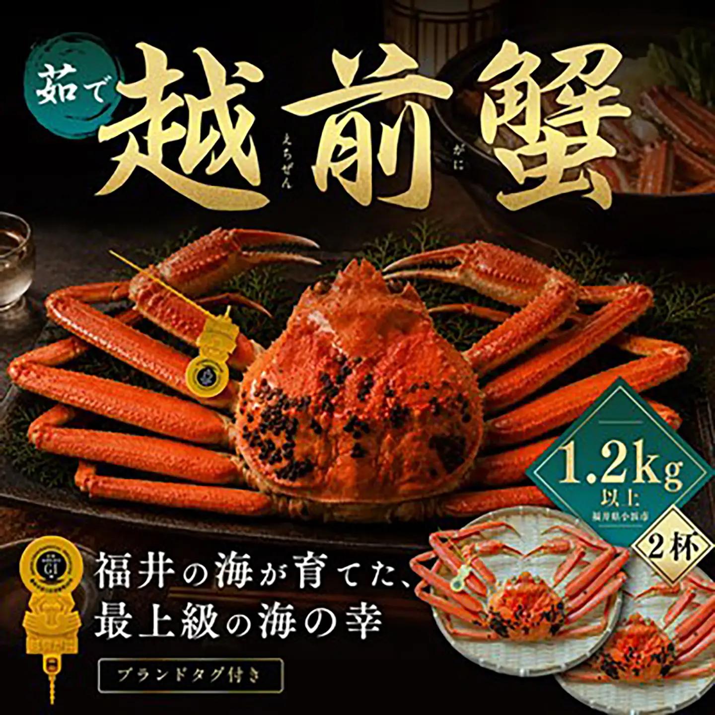 【先行予約/11月18日より順次配送】越前がに 1.2kg×2杯 茹で 福井県産ズワイガニ / かに カニ 蟹 越前ガニ ズワイガニ ボイル / 小浜市 / 一進わかさ【配送不可地域:北海道・沖縄・離島】[BFES014]