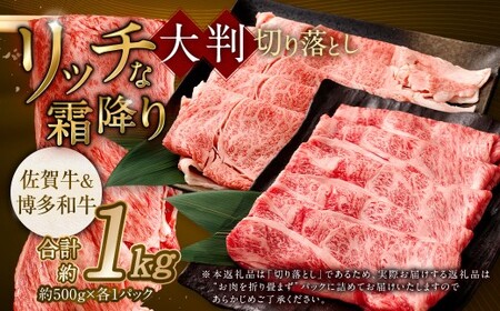 【食べ比べ】 佐賀牛 ＆ 博多和牛 リッチな霜降り 大判 切り落とし 1kg （500g×2）【12月発送】 ／ 2種類 黒毛和牛 和牛 牛肉 お肉 肉 霜降り 九州 福岡県 太宰府市 冷凍