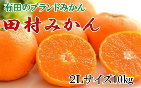 みかん【ブランドみかん】田村みかん約10kg（2Lサイズ）★2025年11月中旬頃より順次発送【TM108】