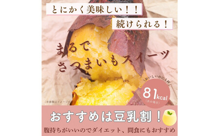 川越発さつまいも味のソイプロテイン カワゴエ イモテイン 500g×2袋