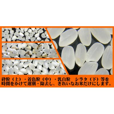 ふるさと納税 米沢市 【2025年6月下旬発送】【令和6年産】プレミアムつや姫　精米　2kg×3袋　計6kg |  | 03