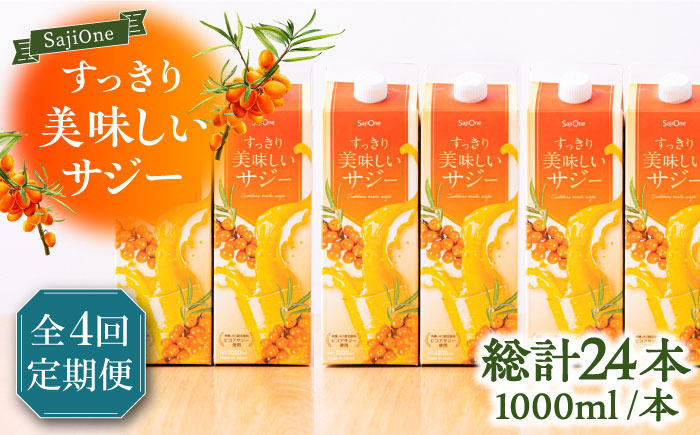 
【全4回定期便】家族みんなでおいしく飲める！ すっきり美味しい サジー 6本 《豊前市》【ハウスボトラーズ】 [VAX049] [VAX049]
