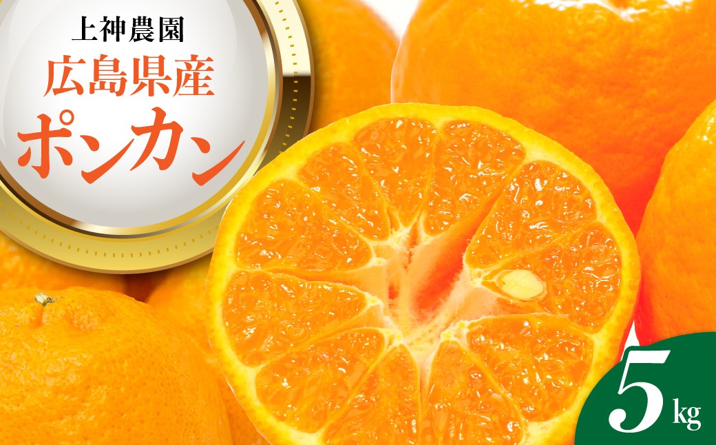 
                  【先行受付】 【2027年1月中旬～発送】 上神農園のポンカン 約5kg 柑橘 みかん あまい 上神農園 ポンカン ぽんかん 広島県 呉市 広島 呉 ku011-007-26
                