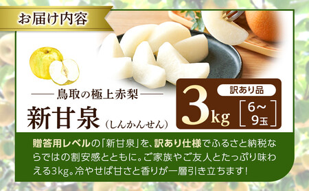 1255.【2026年度発送先行予約】訳あり　新甘泉　3kg