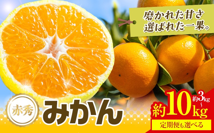 
                  先行予約 赤秀 みかん 旬 柑橘 蜜柑 鶴田農園 選べる内容量 約3kg 5kg 10kg 定期便《出荷時期をお選びください》極早生 早生 中生 晩生 フルーツ 果物 秋 旬 熊本県 荒尾市産 贈答 ギフト オレンジ 人気 おすすめ
                