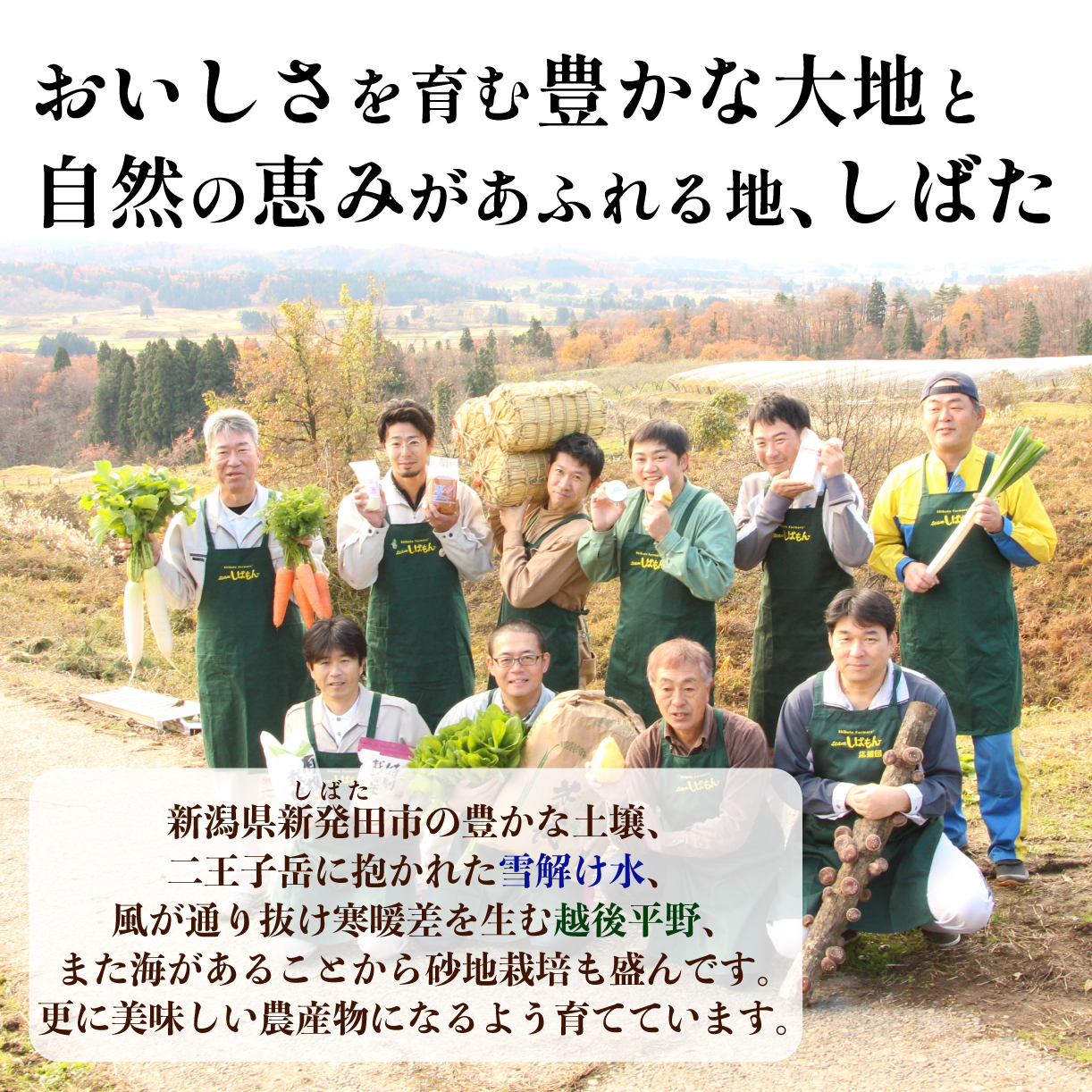 【年3回お届け】teamしばもん 季節の野菜セット 定期便 C17_01