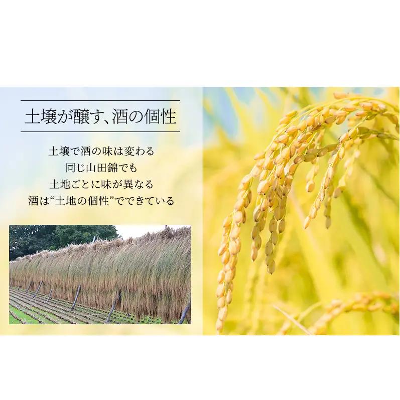日本酒 受賞多数 大吟醸 龍力 米のささやき YK-35 720ml 地酒 お酒 酒 アルコール 清酒 大吟醸酒 辛口 フルーティー フルーティーな香り 山田錦 ギフト 贈答 プレゼント 兵庫 兵庫県