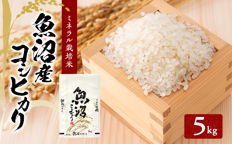 [令和7年産]魚沼産コシヒカリ ミネラル栽培米（精米）5kg