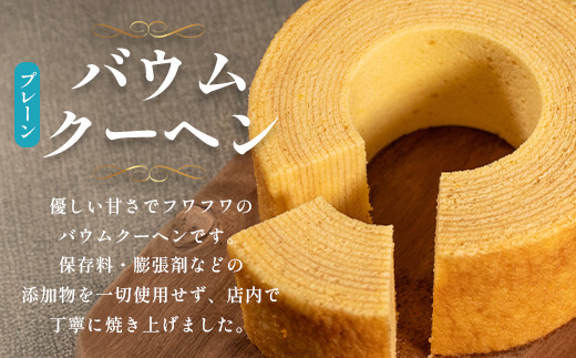 【2026年3月中旬から発送】だいたんな！恋するショコラ & バウムセット（だいたんなショコラ6個＋バウムクーヘン・プレーン）SH-3| たんかん ソース ムース チョコレートムース ショコラ贅沢 ス