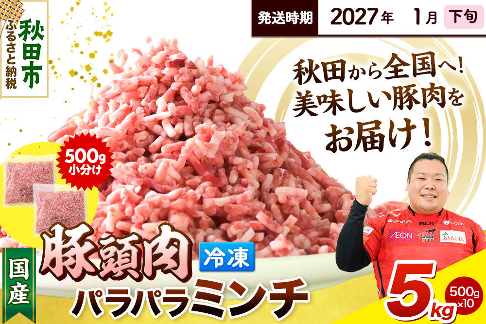 【2027年1月下旬発送】豚頭肉 ミンチ ひき肉 5kg（500g×10袋）豚肉 冷凍 [小分け 挽肉 豚カシラ 豚かしら 松田畜産 国産 ぶた肉 とんとう]