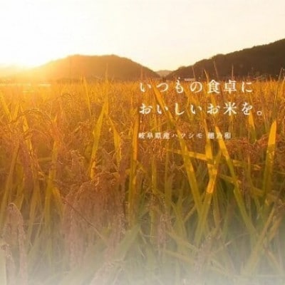 【発送月固定定期便】【先行予約】岐阜県産ハツシモ(無洗米)10kg【1・3月】【隔月定期便】全2回【配送不可地域：離島】