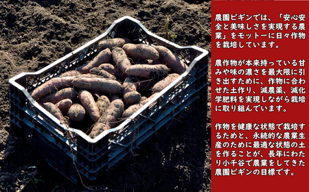 N10P155 魚沼熟成 蜜やきいも4袋セット 冷凍 やきいも 焼き芋 熟成 紅はるか ベニハルカ 農園ビギン