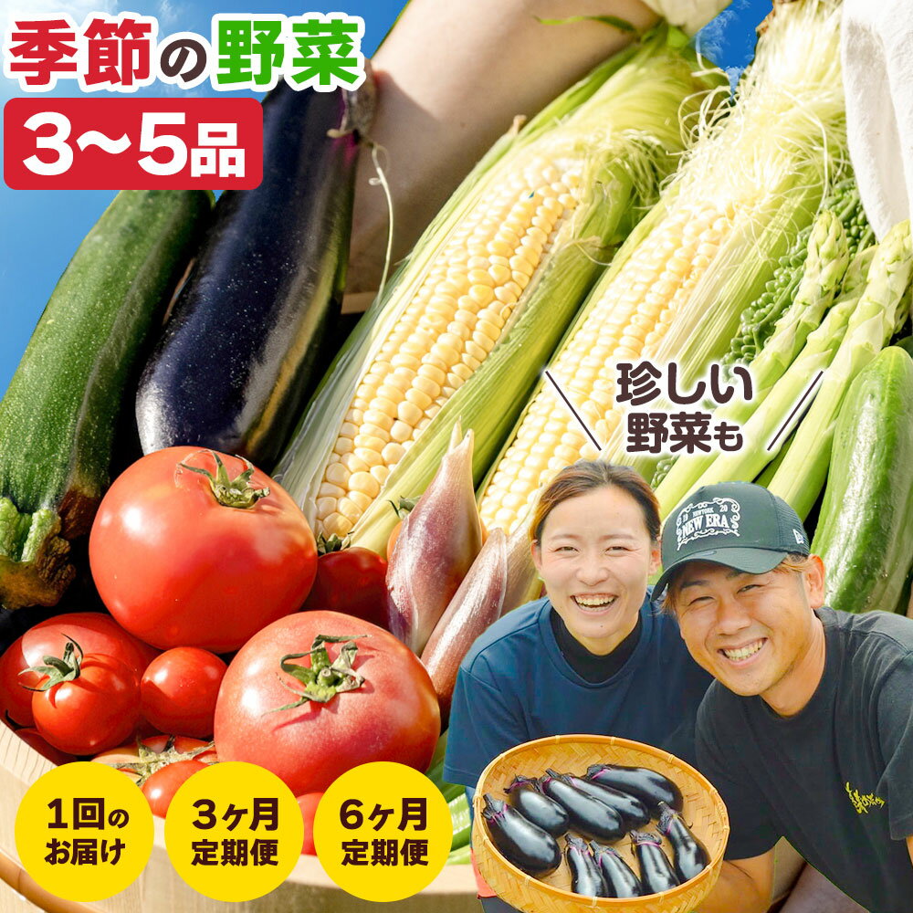【ふるさと納税】野菜 詰め合わせ セット 旬の野菜セット おまかせ 野菜便 む〜む農園 《30日以内に出荷予定(土日祝除く)》徳島県 美馬市 送料無料 野菜類 お野菜セット ナス じゃがいも ブロッコリー とうもろこし 枝豆 菜の花 芽キャベツ