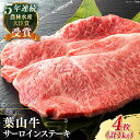 【ふるさと納税】国産 和牛 A5ランク 葉山牛 サーロインステーキ 計1kg ( 250g × 4枚 ) A5 黒毛和牛 牛肉 1キロ サーロイン ステーキ 冷凍 人気 おすすめ 赤身 肉 【葉山牛ステーキレストラン 角車】[ASBD018]