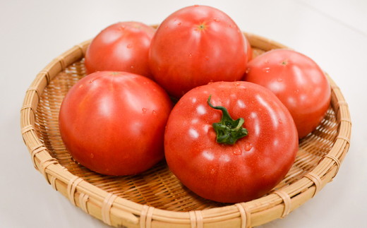 久万高原トマト 4kg 朝露に輝く 清流育ち【桃太郎トマト】久万高原町｜特別栽培 エコえひめの認証 トマト とまと トマト産地 産地直送 ソース ジュース 自然栽培 野菜 安心 安全 旬 贅沢 酸味 