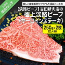 【ふるさと納税】【淡路ビーフ】吉田精肉店の極上淡路ビーフ　サーロインステーキ500g（約250g×2枚）（2人前）（冷凍） ふるさと納税 牛肉