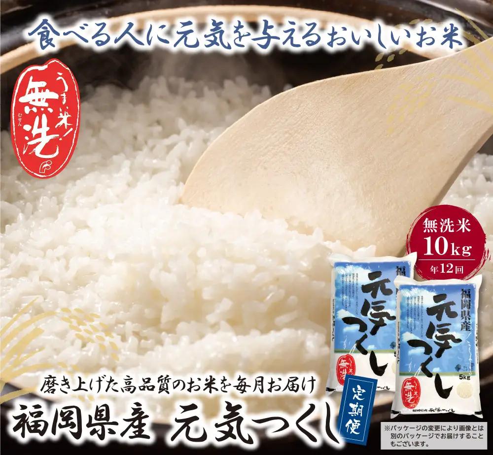 Z17-86 無洗米 元気つくし10kg定期便(毎月・年12回)