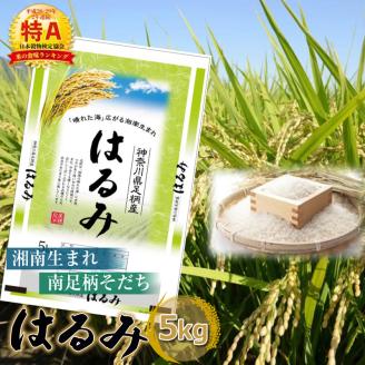 【令和6年産】湘南生まれ 南足柄育ちのお米「はるみ」(精米)5kg×1袋〈出荷時期:10月初旬から順次発送〉【 神奈川県 南足柄市 】