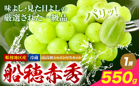【2025年先行予約受付】最高級 シャインマスカット ぶどう 船穂赤秀 1房 550g 《9月上旬-11月中旬頃出荷(土日祝除く)》ハレノフルーツ マスカット 送料無料 岡山県 浅口市 フルーツ 果物 贈り物 ギフト 国産 岡山県産【配送不可地域あり】（北海道・沖縄・離島）