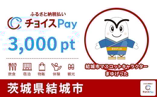 
                  結城市チョイスPay 3,000pt【会員限定のお礼の品】
                